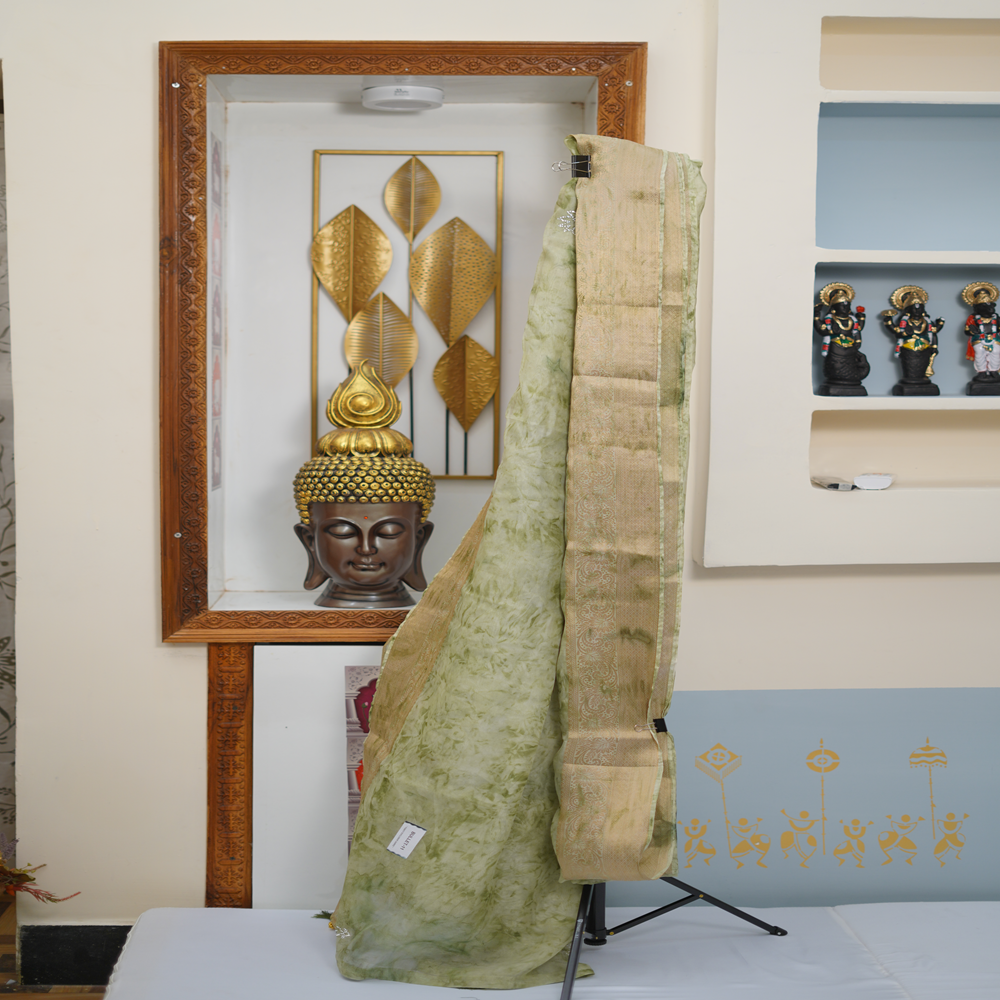 Party Wear Saree – Green Organza